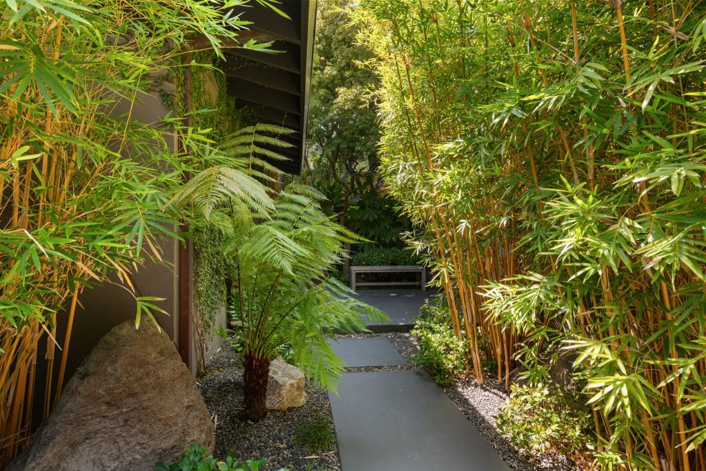 Hollywood Hills Mid-Century Turned Elegant Modern